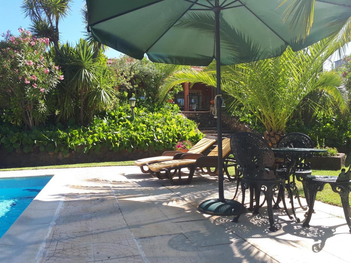 Quintinha Dos Cedros Villa Alfândega da Fé Buitenkant foto
