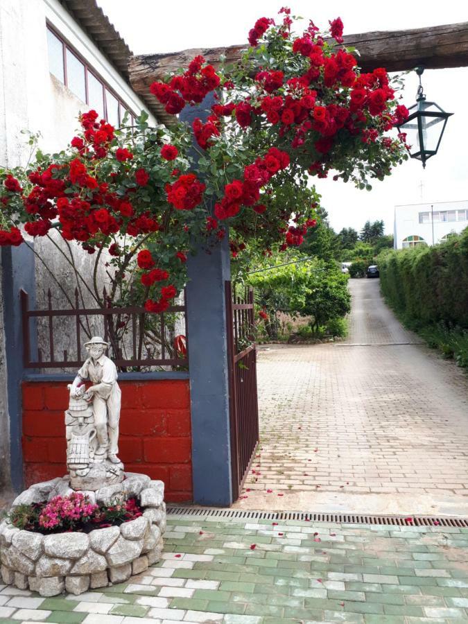 Quintinha Dos Cedros Villa Alfândega da Fé Buitenkant foto