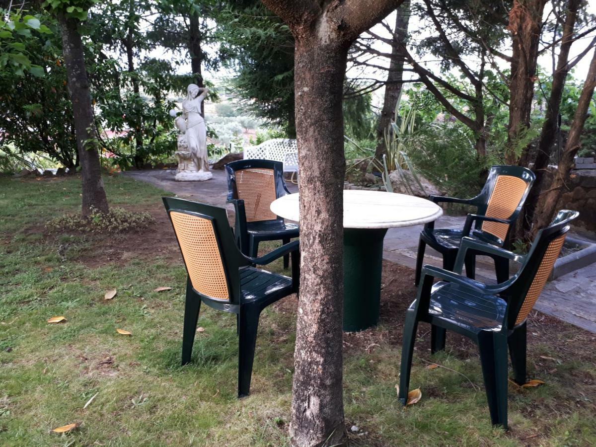 Quintinha Dos Cedros Villa Alfândega da Fé Buitenkant foto